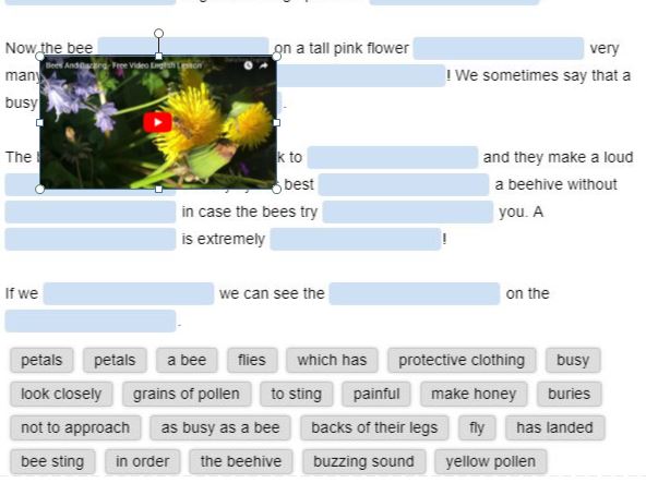 Interactive English Vocabulary Exercise About Bees